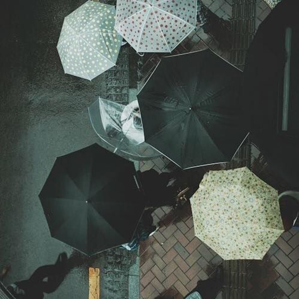 Meet your Posher, Kyle